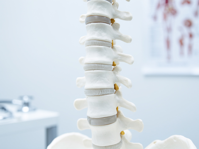 is-a-slipped-disc-the-same-as-a-bulging-disc-understand-the-differences